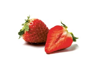 Erdbeeren auf weissem Grund